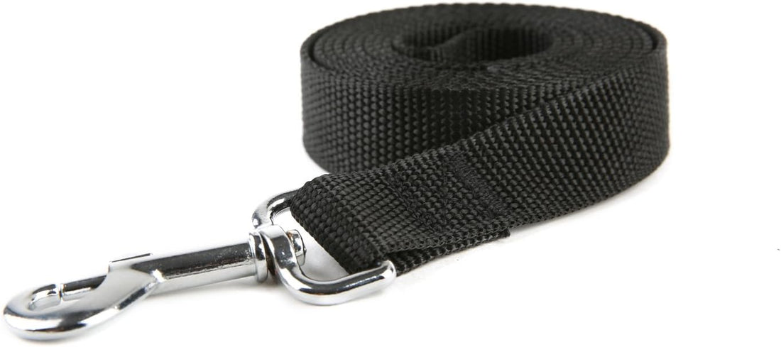 Nylon Dog Training Leash, Traction Rope, 4Ft /5 Foot /6 Feet Long