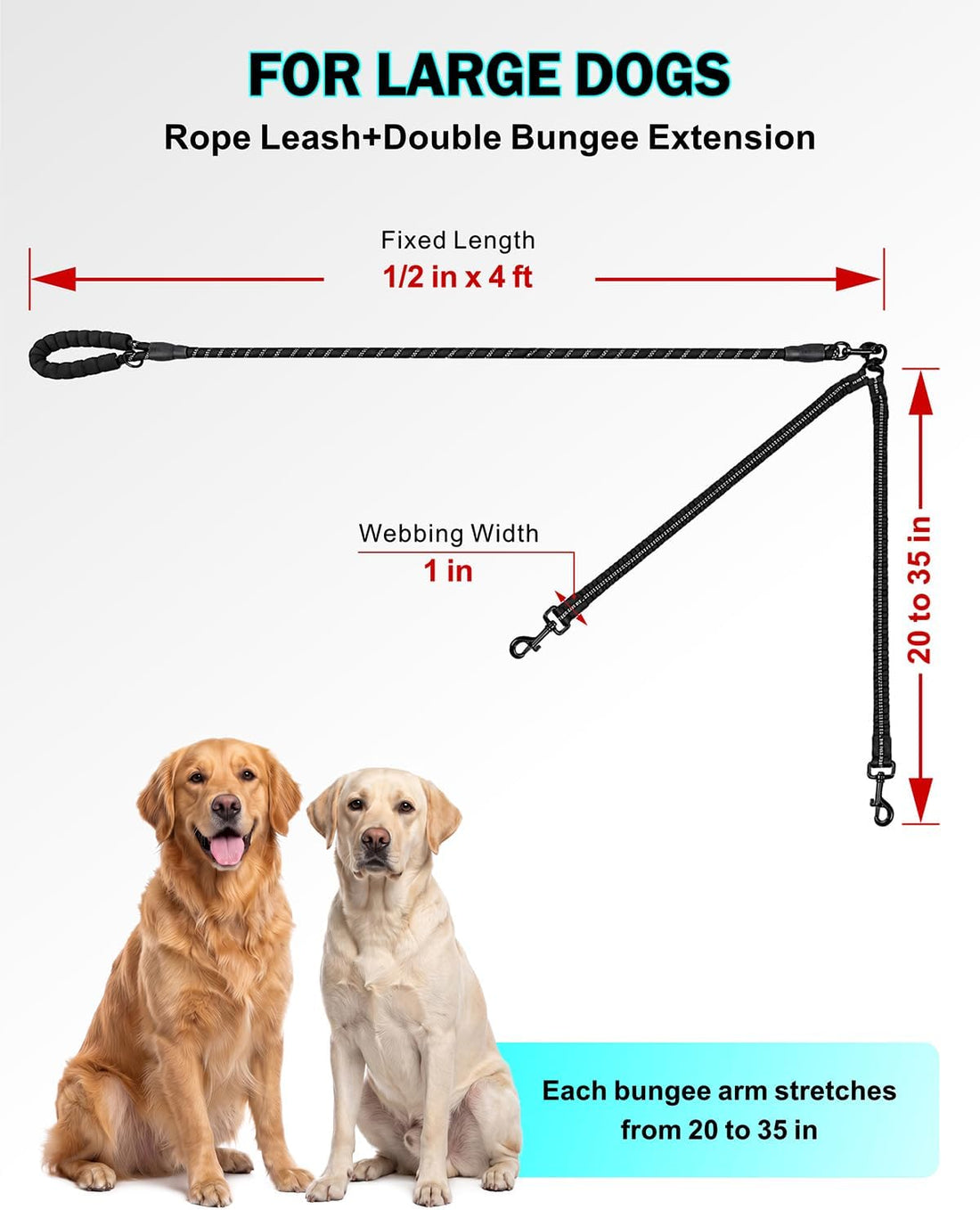 Taglory Double Dog Leash for Two Dogs No Tangle, Bungee Extension