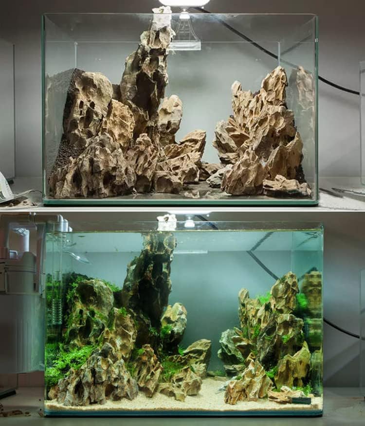 AWXZOM Natural Dragon Rock Carefully Selected Mixed Sizes