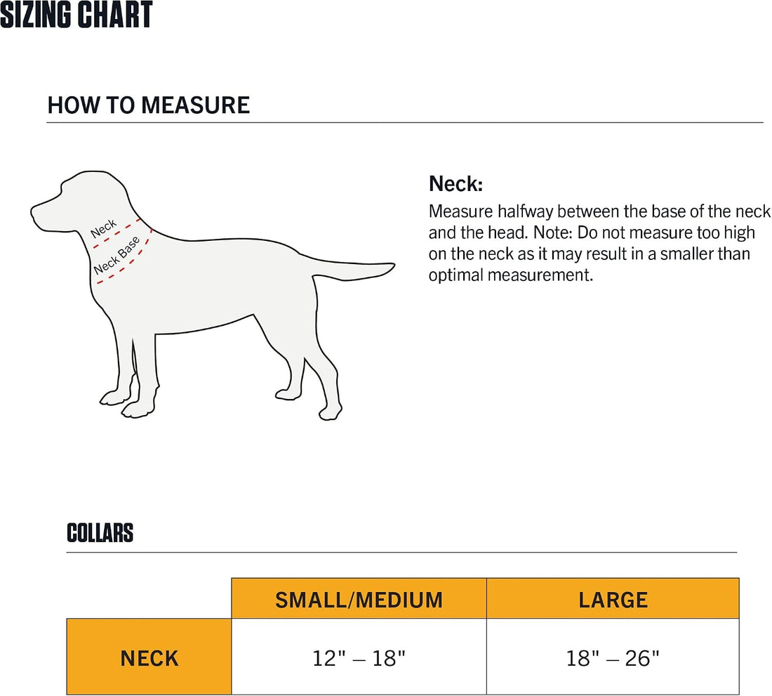 Carhartt Nylon Webbing Dog Collar