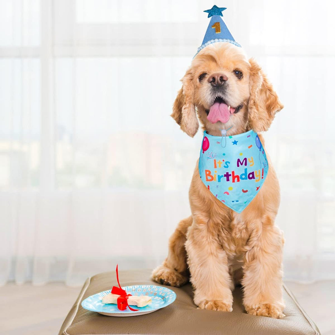 Yicostar Dog Birthday Party Supplies, Dog Birthday Bandana Set