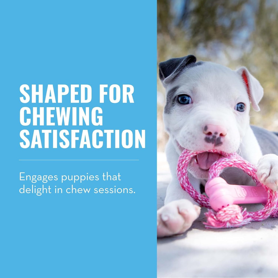 KONG Puppy Goodie Bone with Rope, Natural Rubber, for XS Puppies