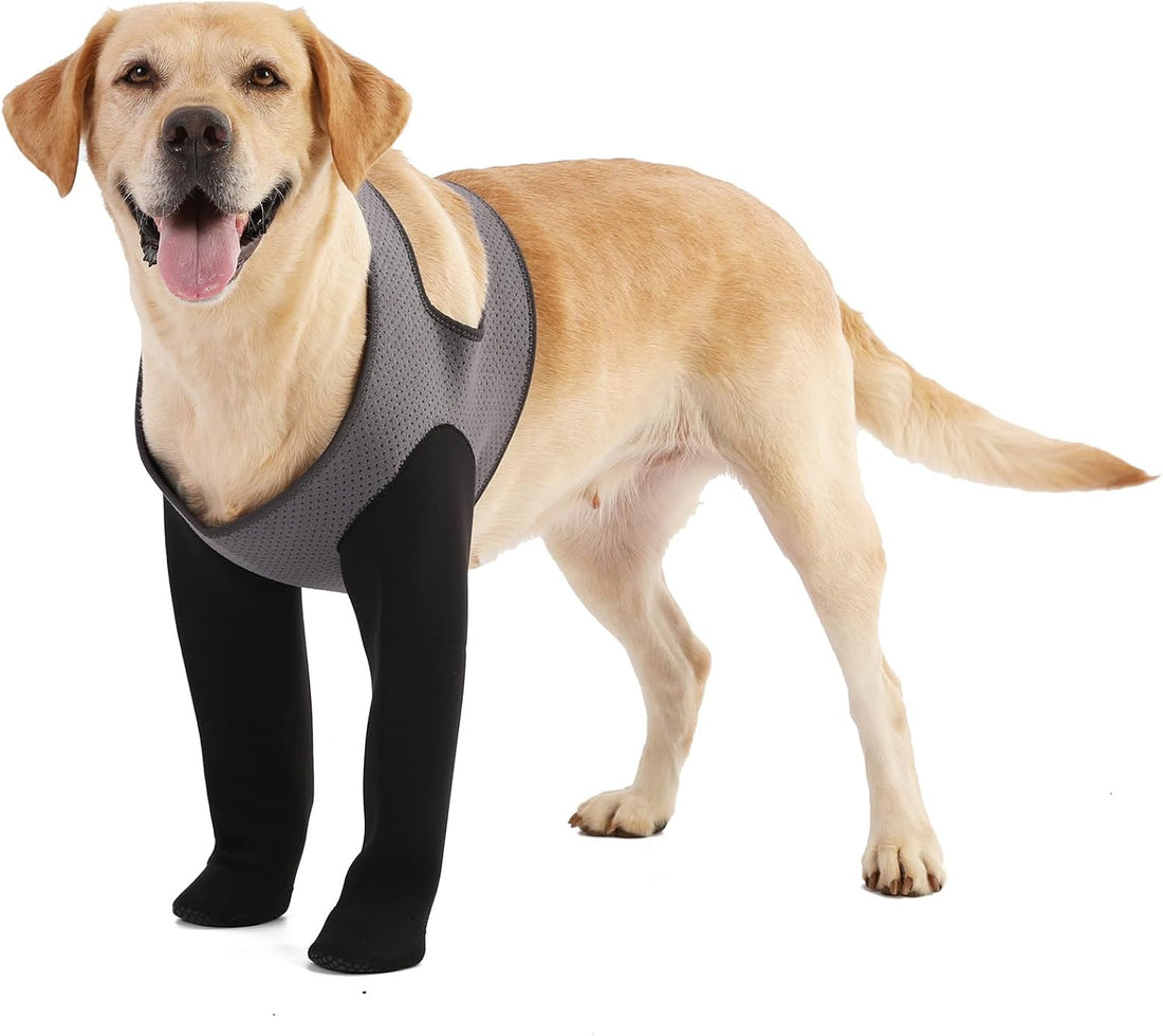 Dog Socks to Prevent Licking Paws ，Breathable Leg Sleeve to Stop
