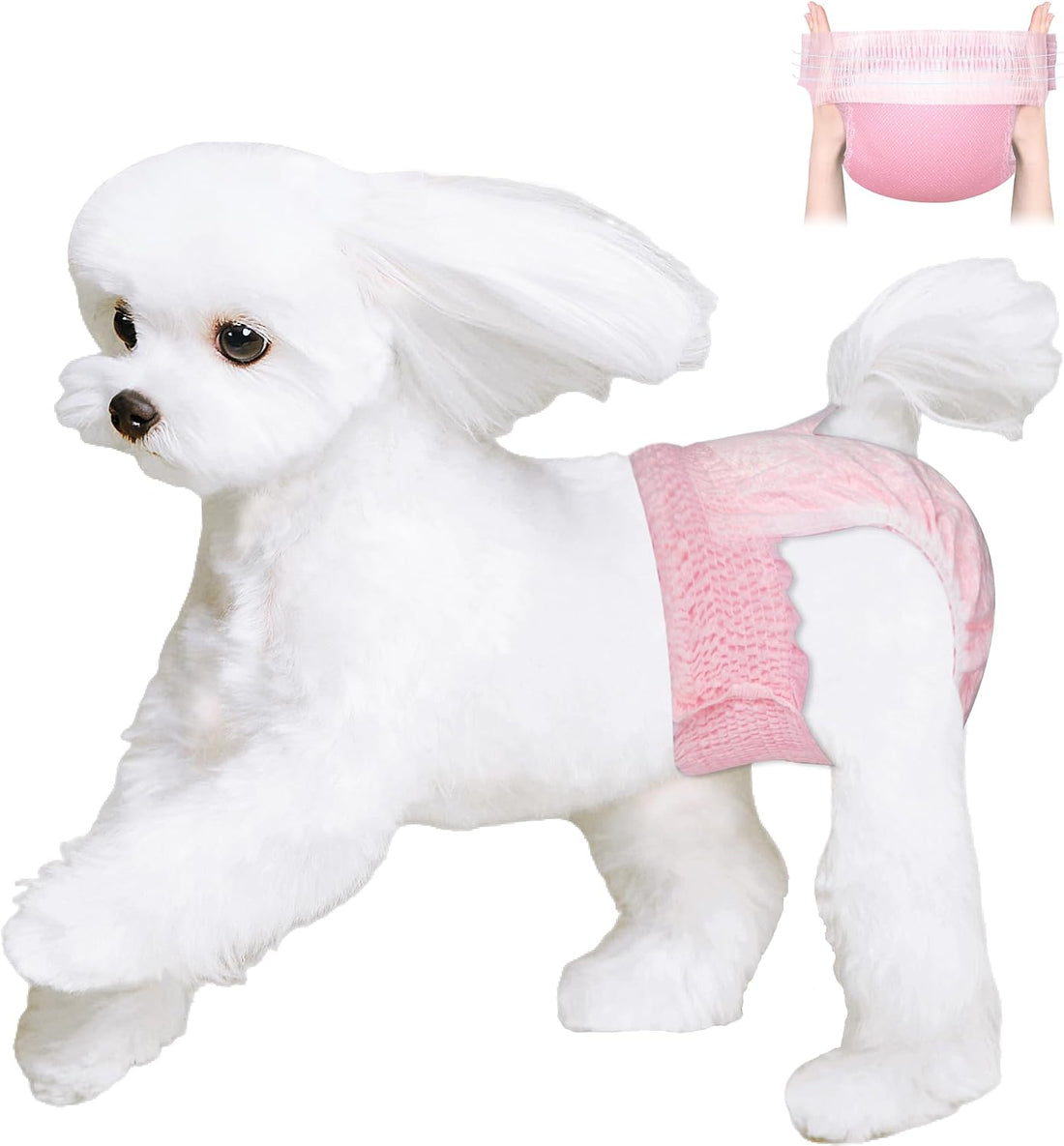 Ambreview Disposable Dog Diapers Female, Just Pull It Up, S 10 PCS