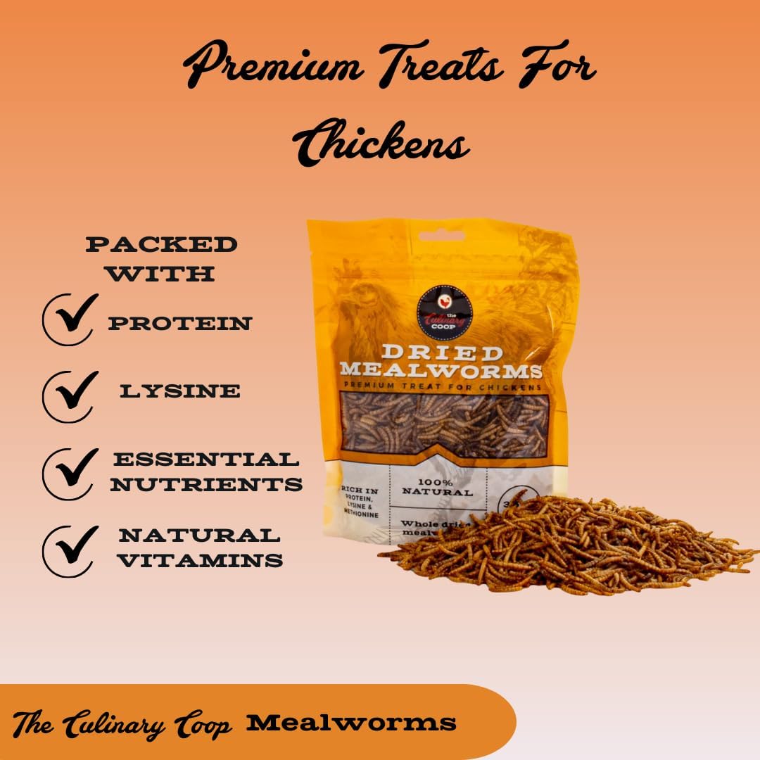Fluker's Culinary Coop Premium Chicken Treats, Mealworms 3.5 oz