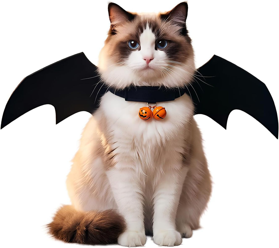 Halloween Cat Bat Wings Costume with Bells for Photos & Parties