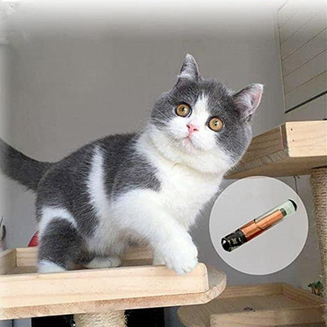 2Packs 2.12x12mm,Universal Pet Microchip Animals Implant Chip