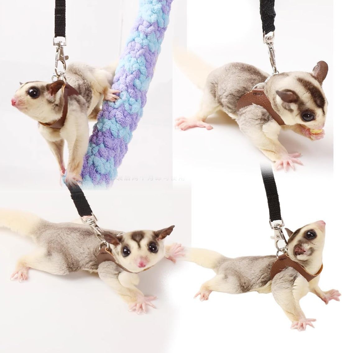 MANON ROSA Sugar Glider Harness and Leash Set, Adjustable 3 Pcs Vest