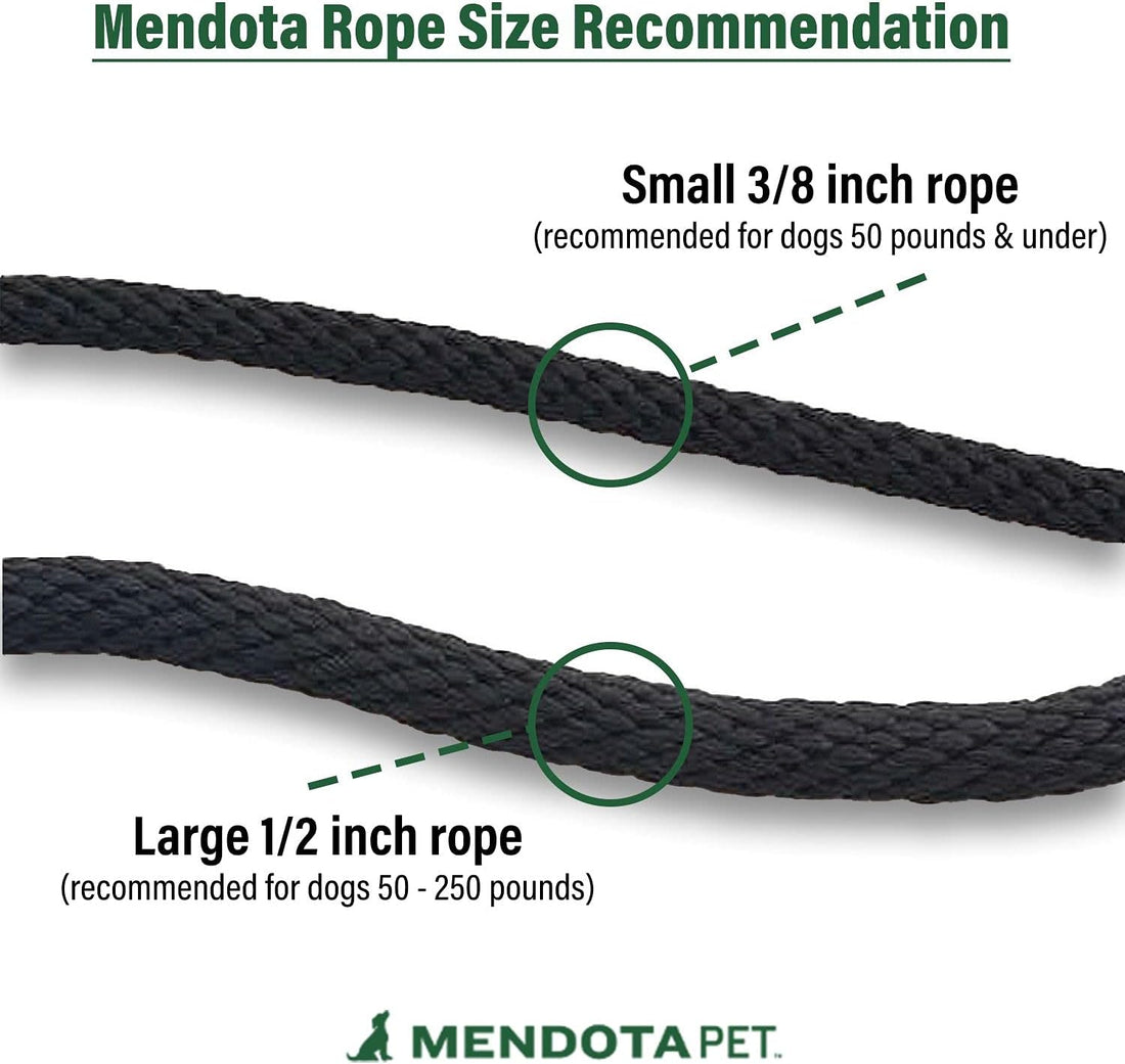 Mendota Pet Snap Leash - British-Style Braided Dog Lead