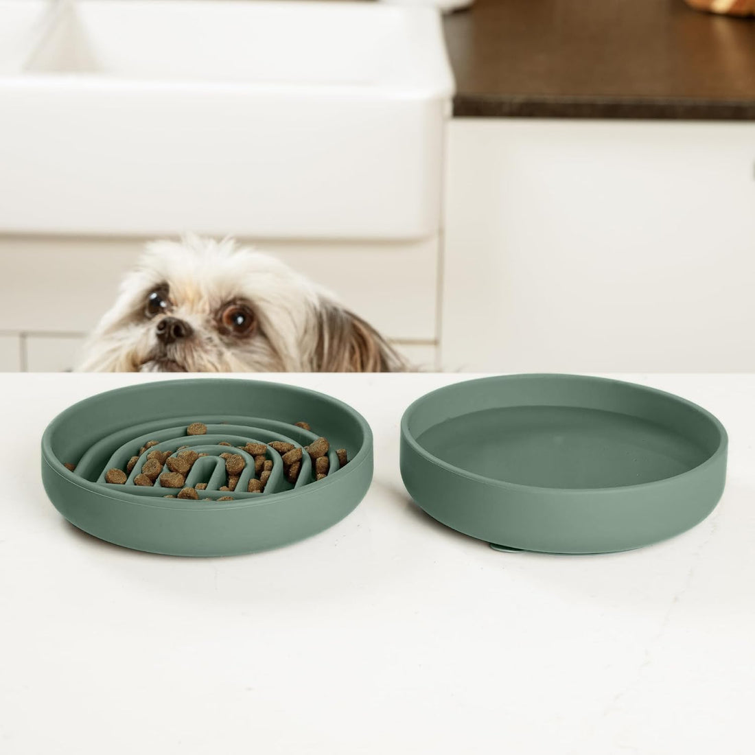 Slow Feeder Dog Bowl - Silicone Dog Bowl, Small, 6" x 1.25"