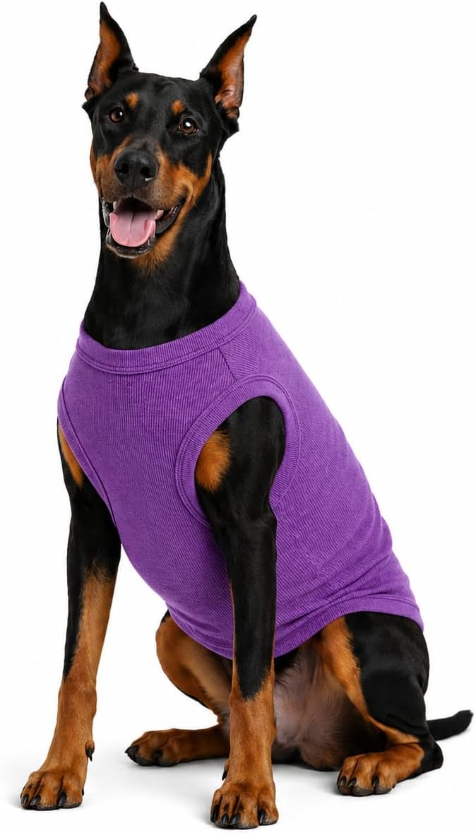 Lovelonglong 2019 Summer Pet Clothing
