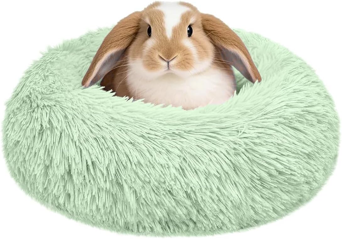 Guinea Pig Carrier Backpack, Clear Bubble Window Backpack for Guinea