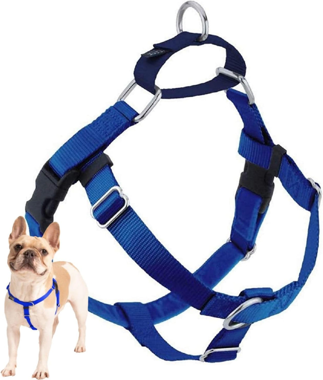 2 Hounds Design Freedom No Pull Dog Harness