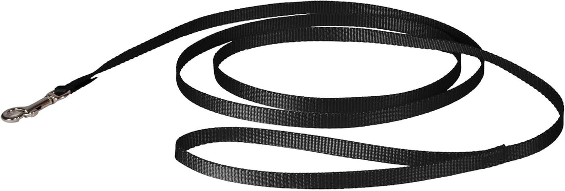 PetSafe Nylon Traditional Dog Leash with Bolt Snap