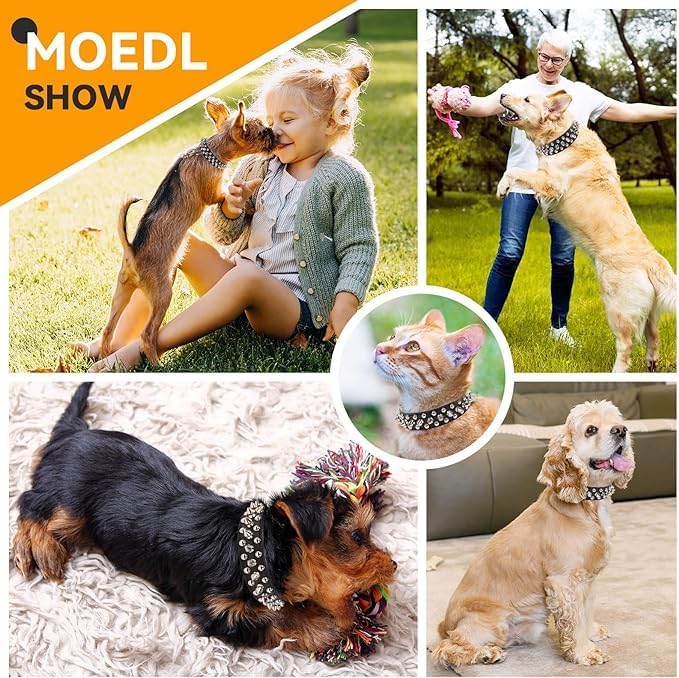 Spiked Dog Collars for Medium Dogs, Studded Spike Collar for Dogs