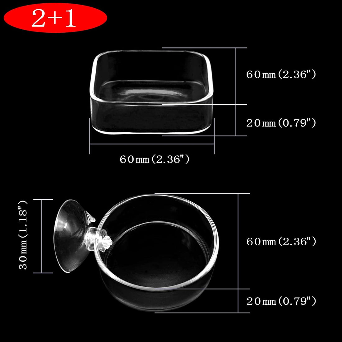 Aquarium Shrimp Feeder Dish Glass Fish Tank Feeding Bowls