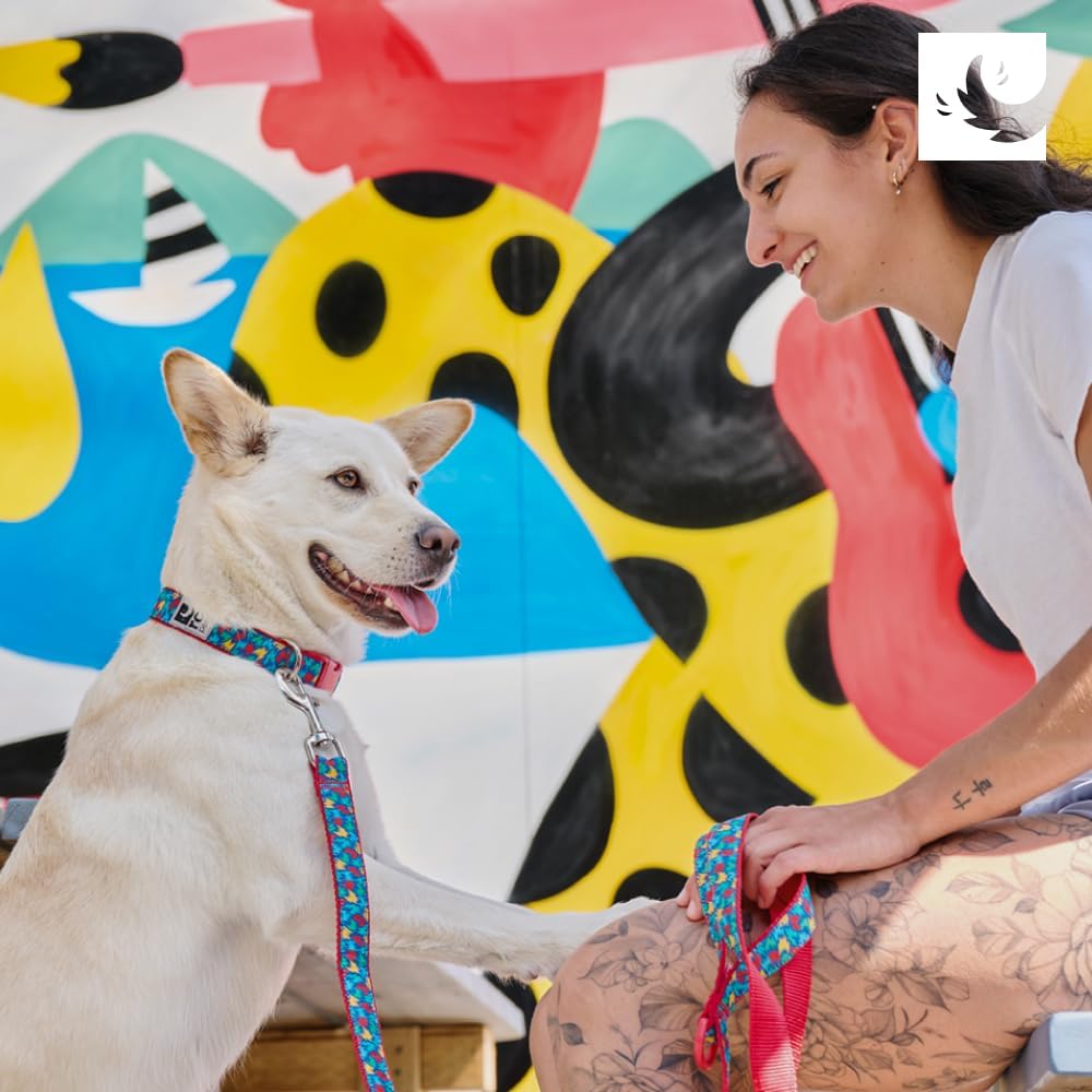 RC Pets Clip Collar | Adjustable, Durable, Comfortable & Fashionable