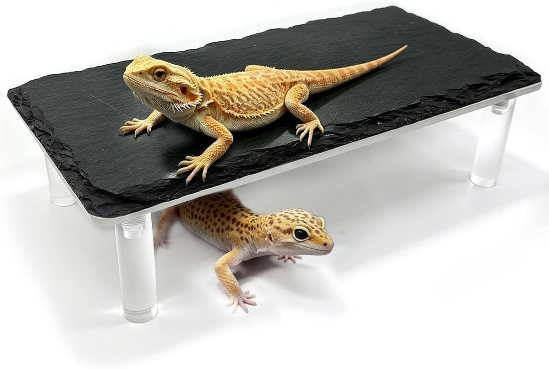 Bearded Dragon Basking Platform,Reptile Hide Cave with Slate Rock,S
