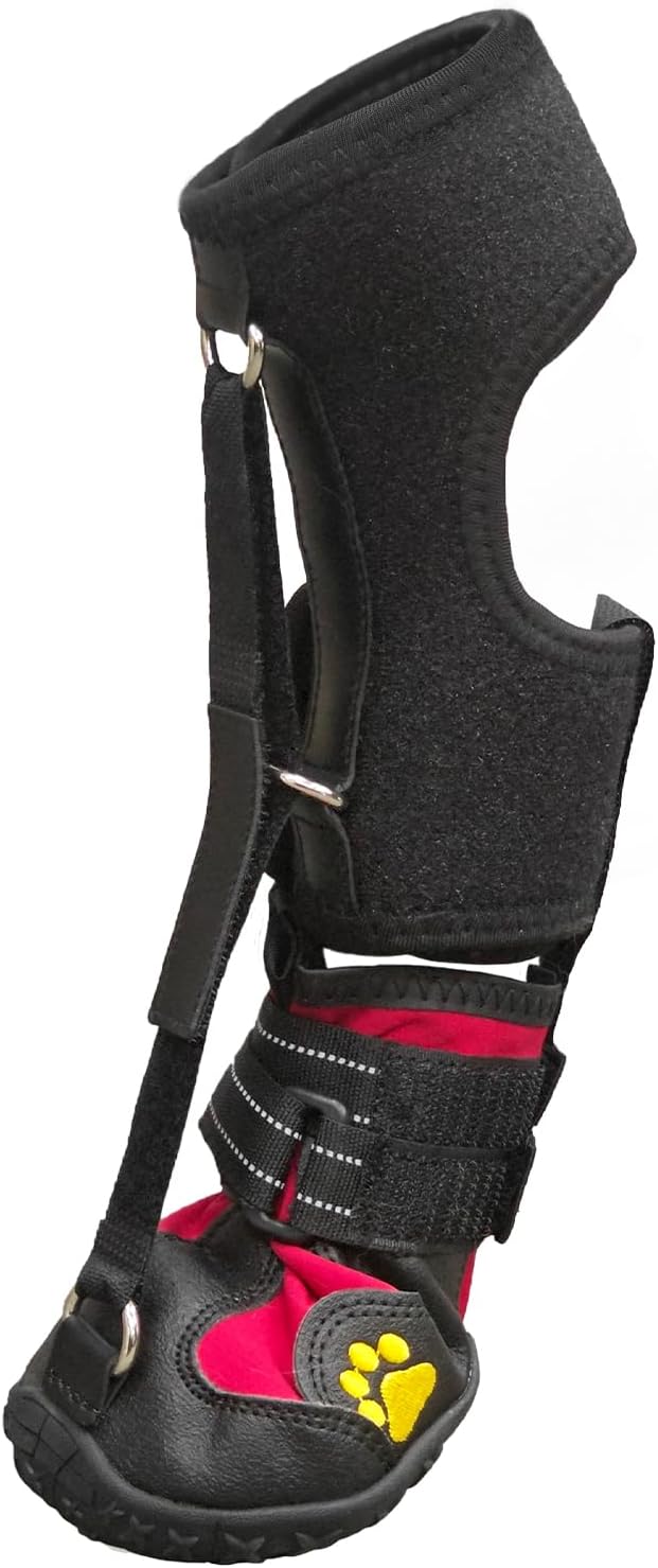 Strap-On Drop Foot Brace (No Knuckling Boot Brace) for Dogs, M