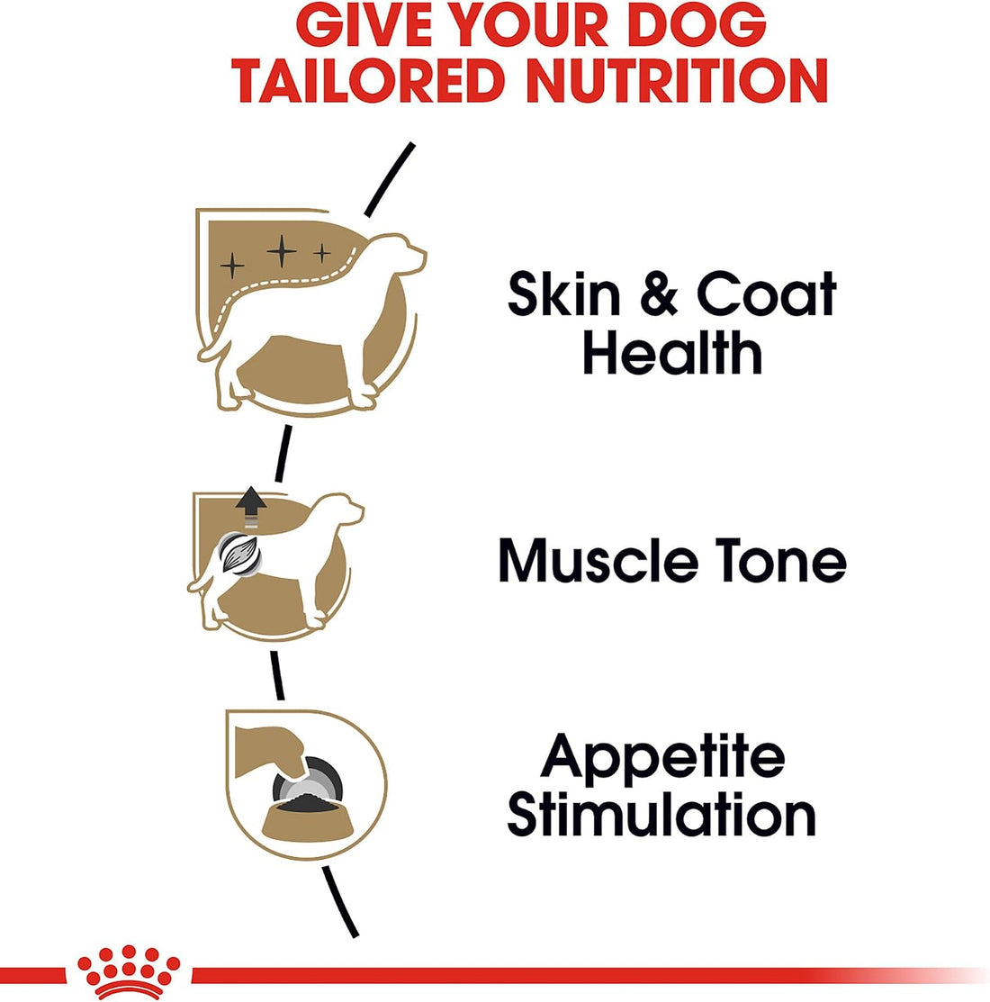 Royal Canin Poodle Adult Wet Dog Food, 3 oz, 6-Pack