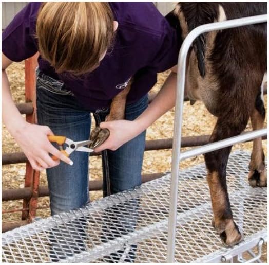 Premier 1 ExoTrim™ Serrated Hoof Trimmer