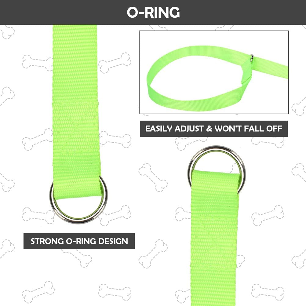 HOMIMP Slip Lead Dog Leash 6 FT- 48 PCS Bulk Colors Kennel Control