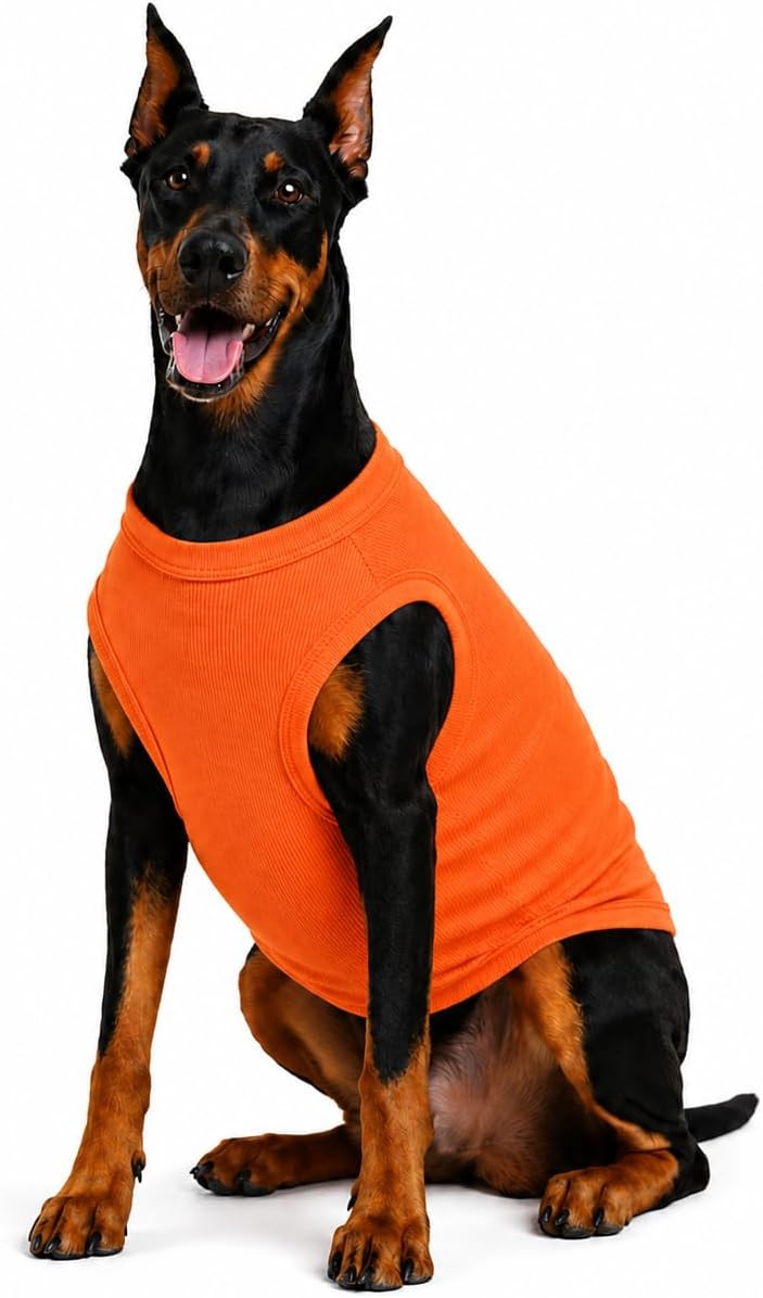 Lovelonglong 2019 Summer Pet Clothing
