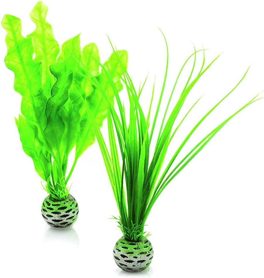 biOrb Silk Plant Set Medium Green & Purple