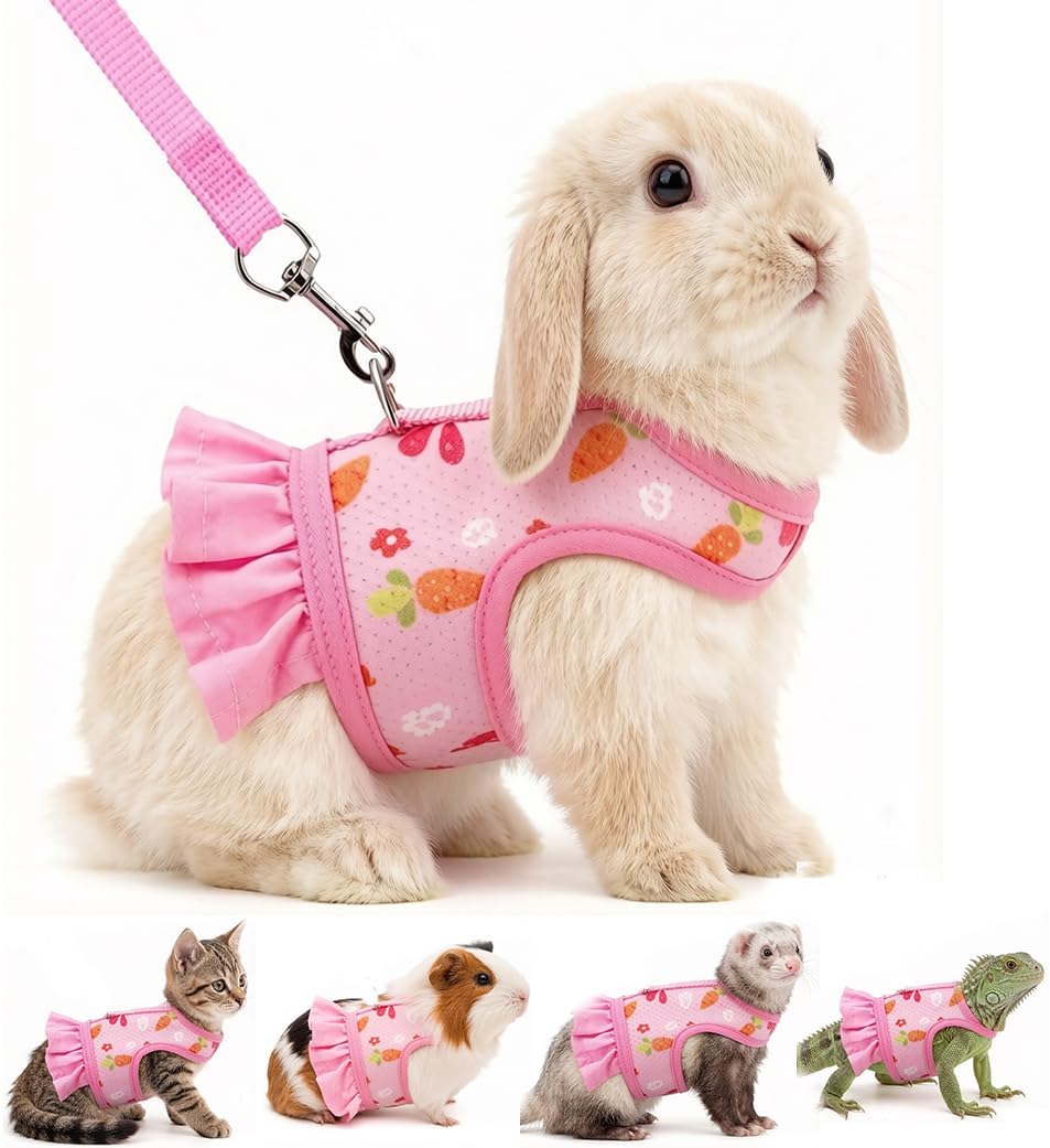 Guinea Pig Harness & Leash Set