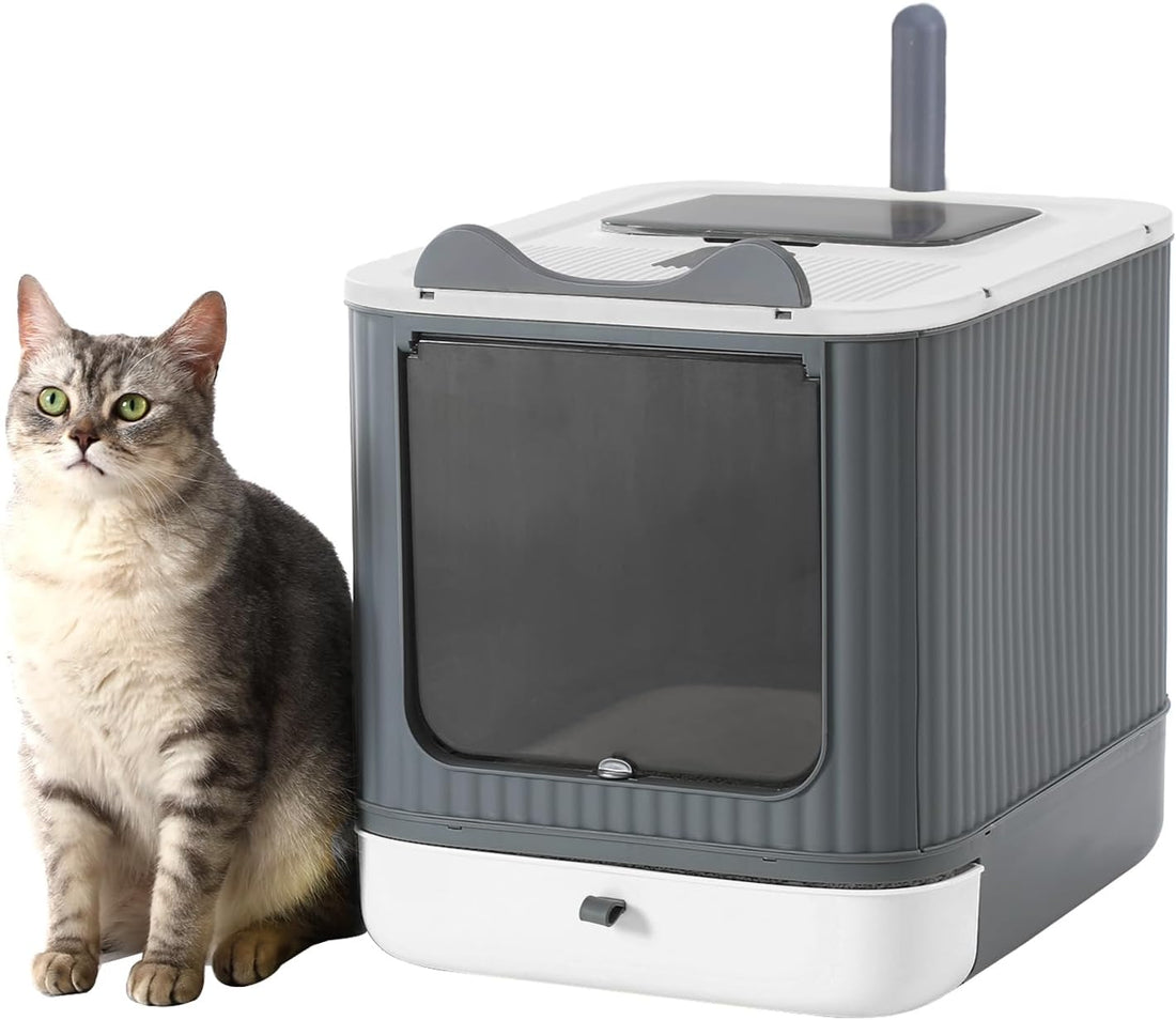 Foldable Enclosed Cat Litter Box with Lid, for Kitten to Medium