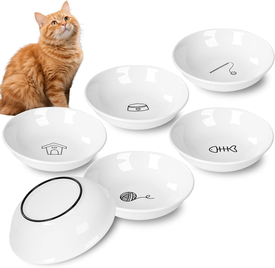 Non-Slip Cat Food Bowls, 6 Pack Whisker-Friendly Ceramic Bowls