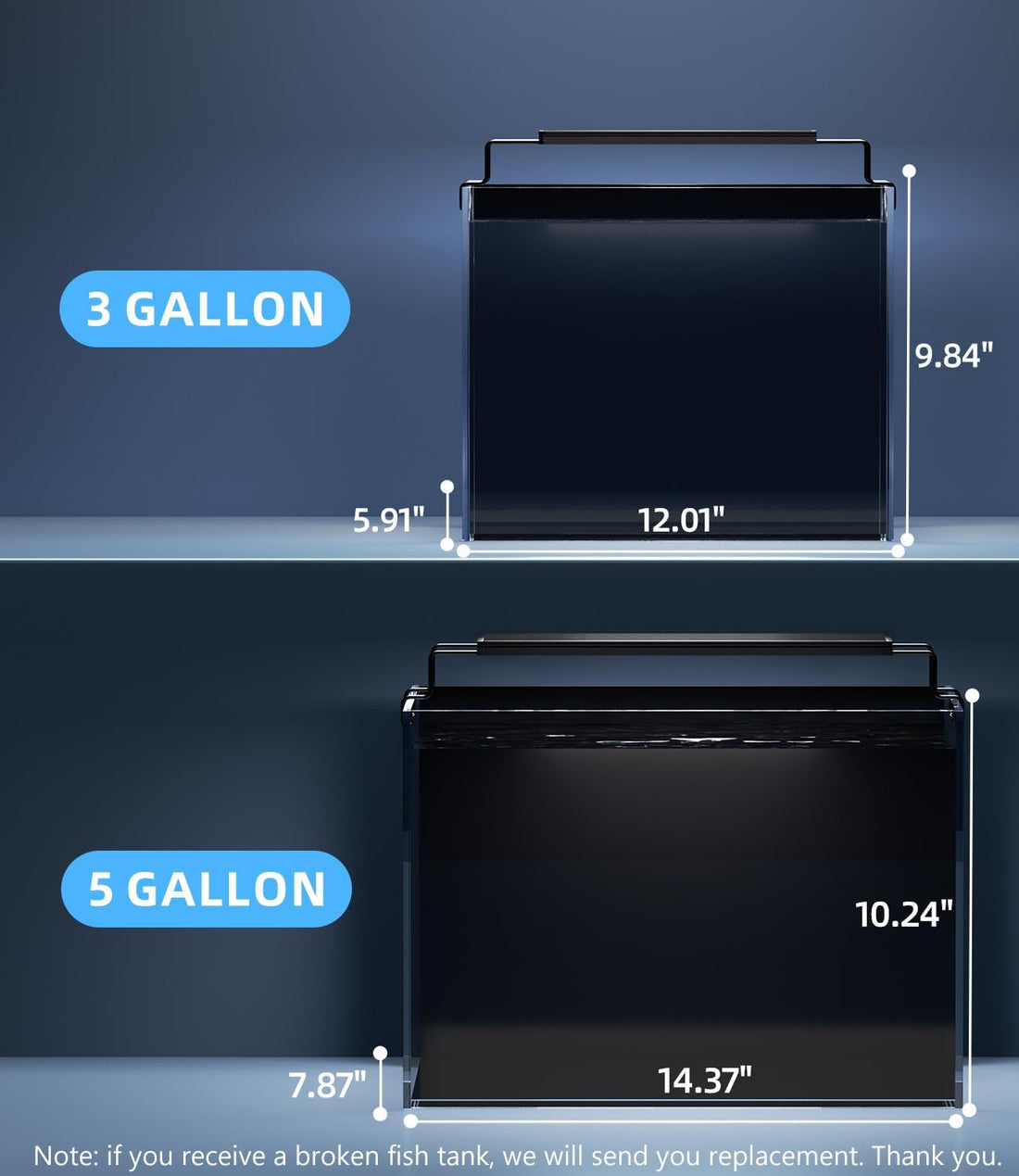 5 Gallon Fish Tank Aquarium Starter Kit with Filter Light Lid Rimless