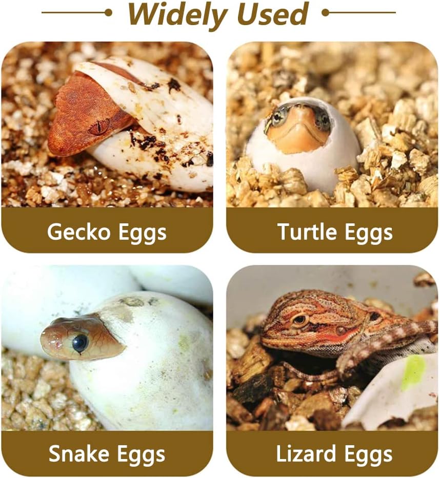 16-Grid Reptile Breeding Box
