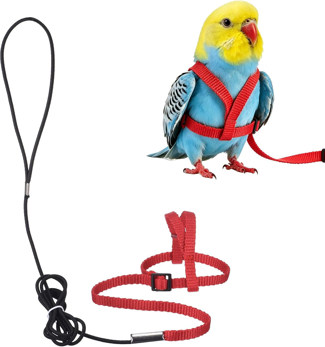 Bird Harness and Leash Adjustable Parrot Leash 47.2" S
