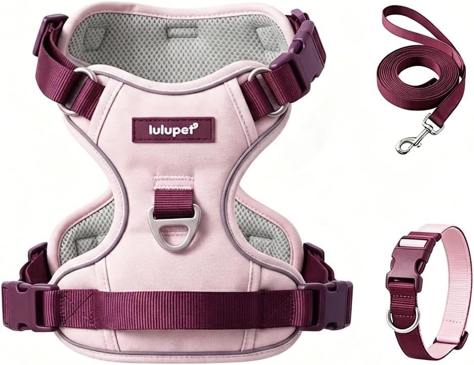 Dog Harness and Leash Set with Collar