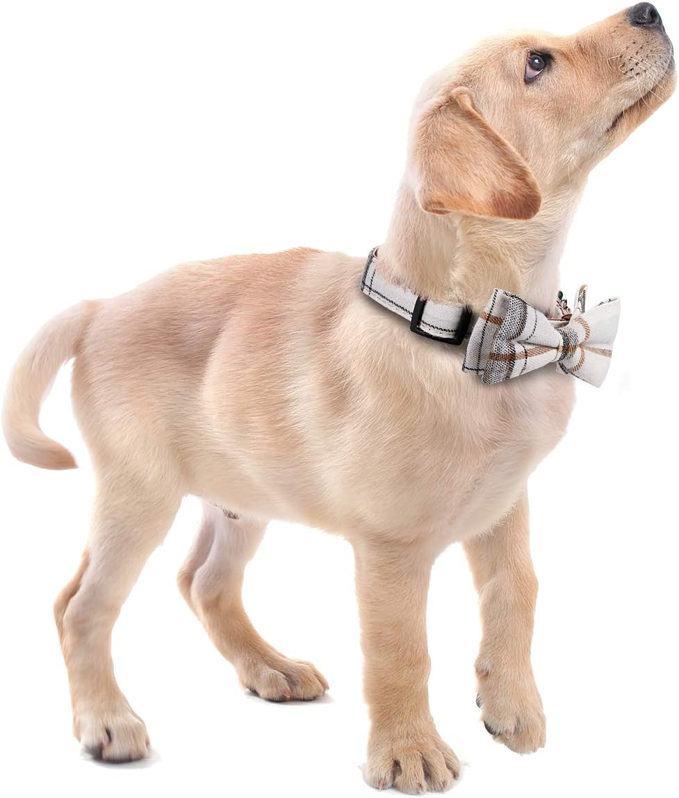 Faleela Soft &Comfy Bowtie Dog Collar,Detachable and Adjustable Bow