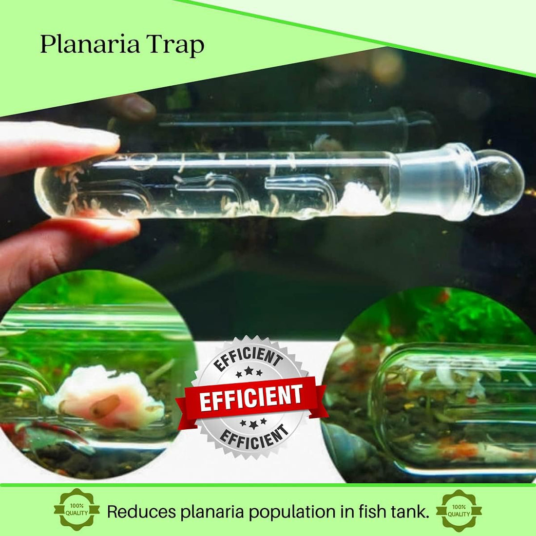 Planaria Trap Crystal Red Shrimp Tank Aquarium Bristle Worm Catcher