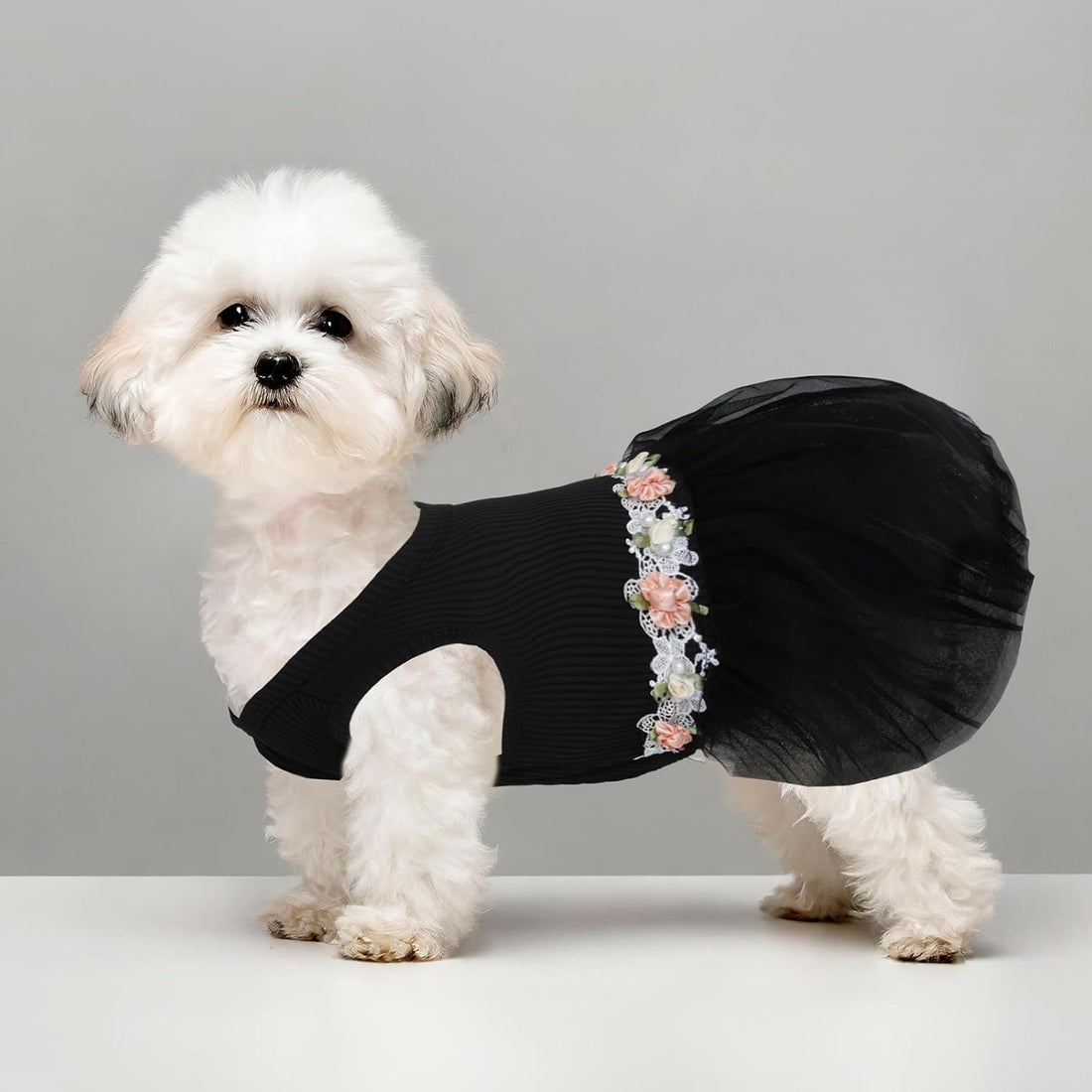CuteBone Black Tulle Skirt Dog Wedding Bridesmaid Dress for Puppy