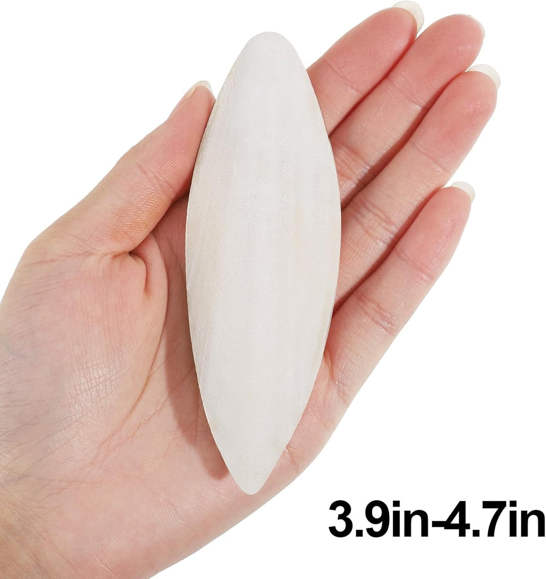 Cuttlebone for Birds 6 Pcs Large Natural Cuttlefish Bone for Parakeets