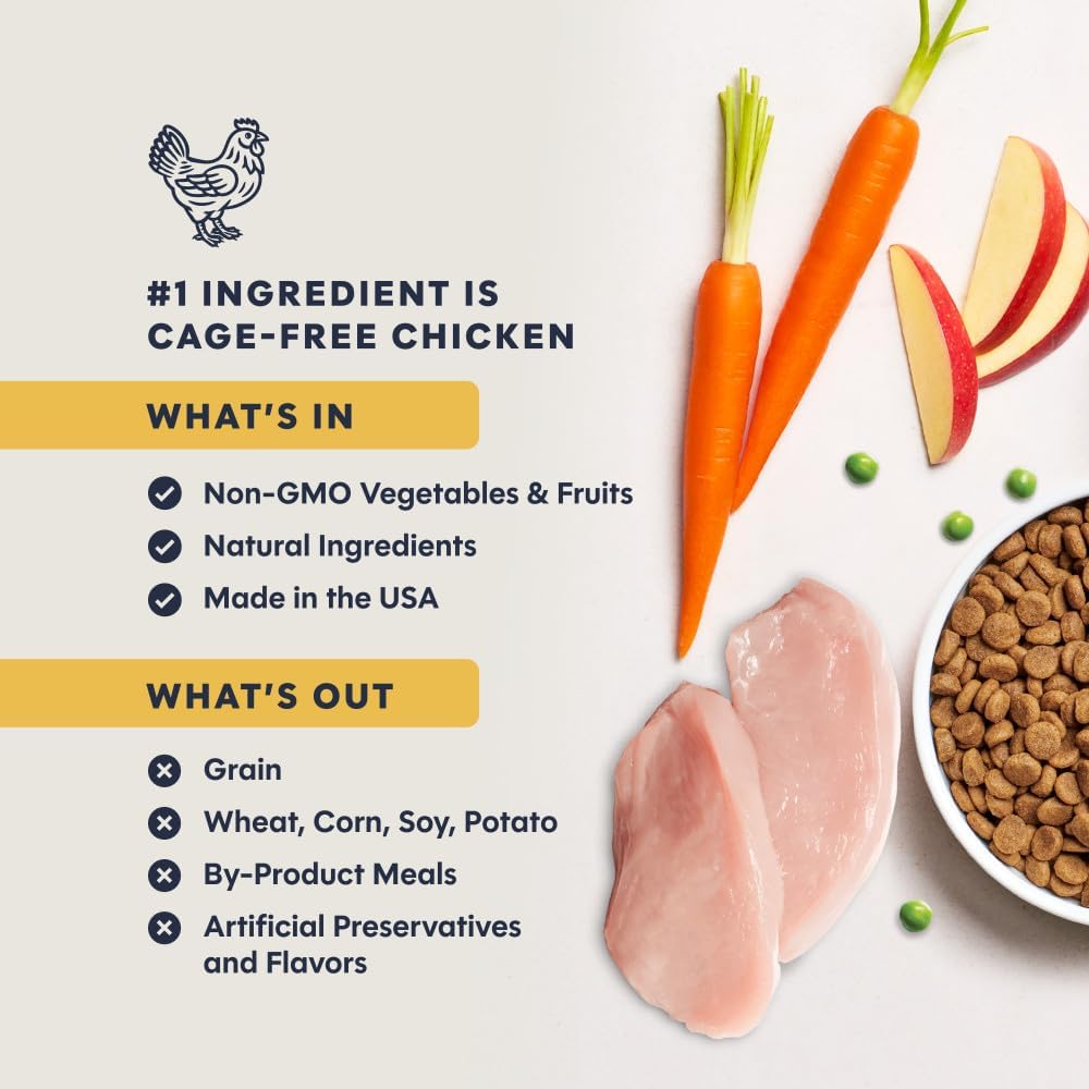 Instinct Original Dry Cat Food, Raw Coated Kibble, High Protein