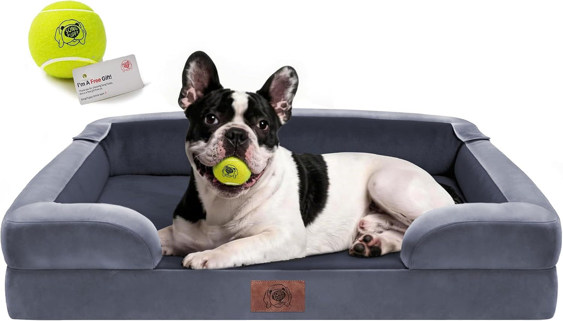 Waterproof Orthopedic Dog Bed for Medium Large Sized Dogs