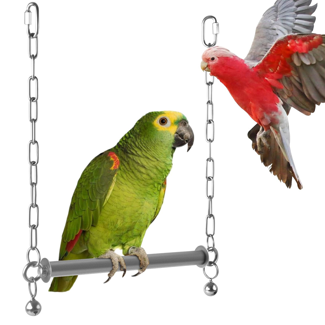 DBNESS Stainless Steel Large Bird Swing