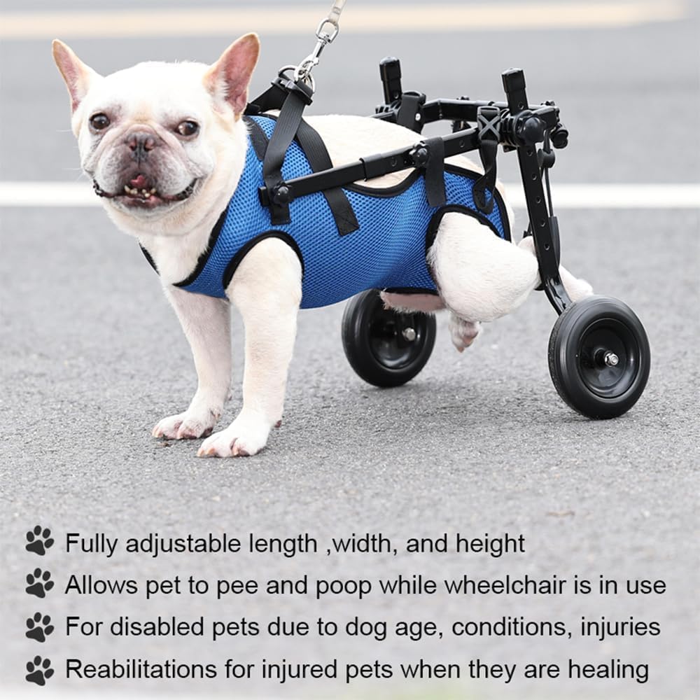 Dog Wheelchair for Back Legs, Adjustable Support for Small Dogs, M