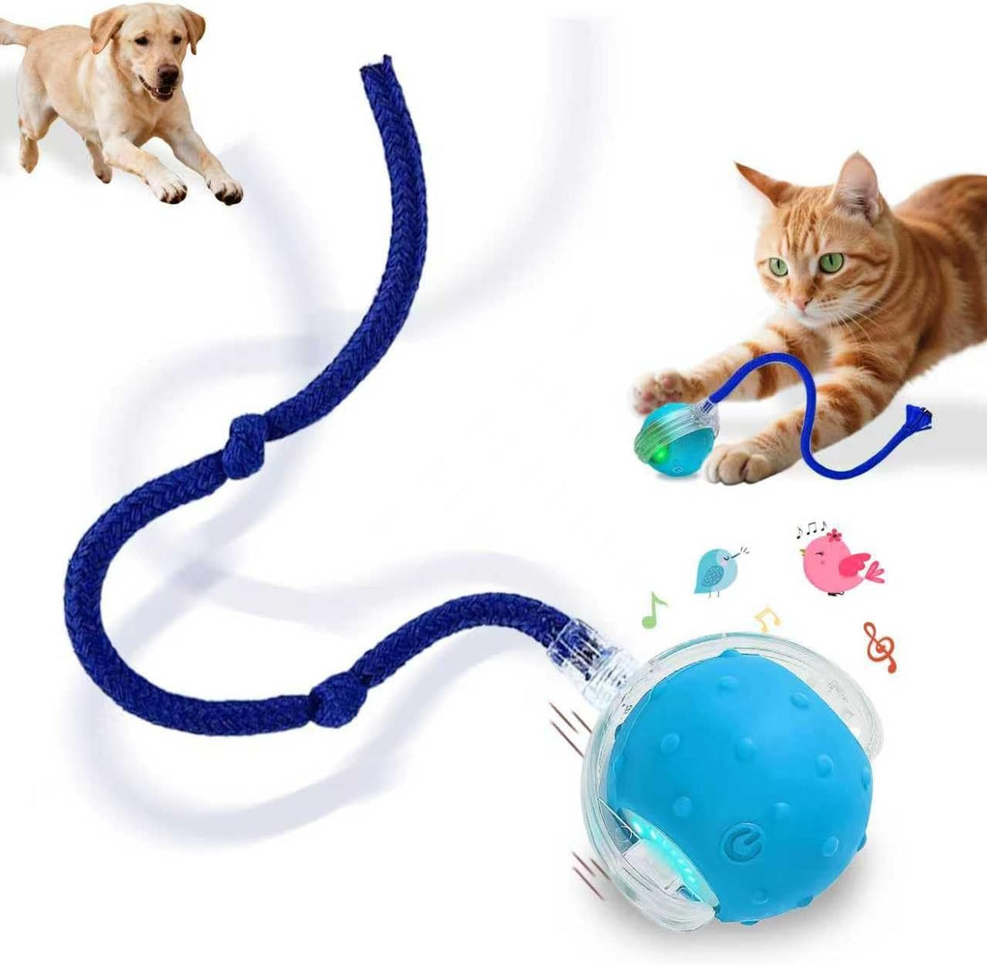 Interactive Cat Toys Smart Ball for Cats & Dogs! Now with 2 Rapid