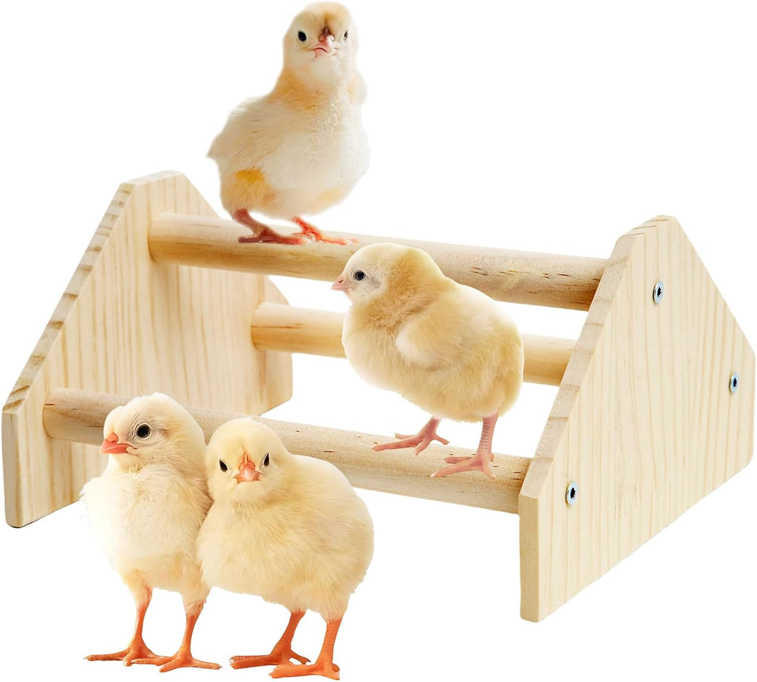 YLSURNY Baby Chicken Perch Strong Pine Wooden Chick Jungle Gym
