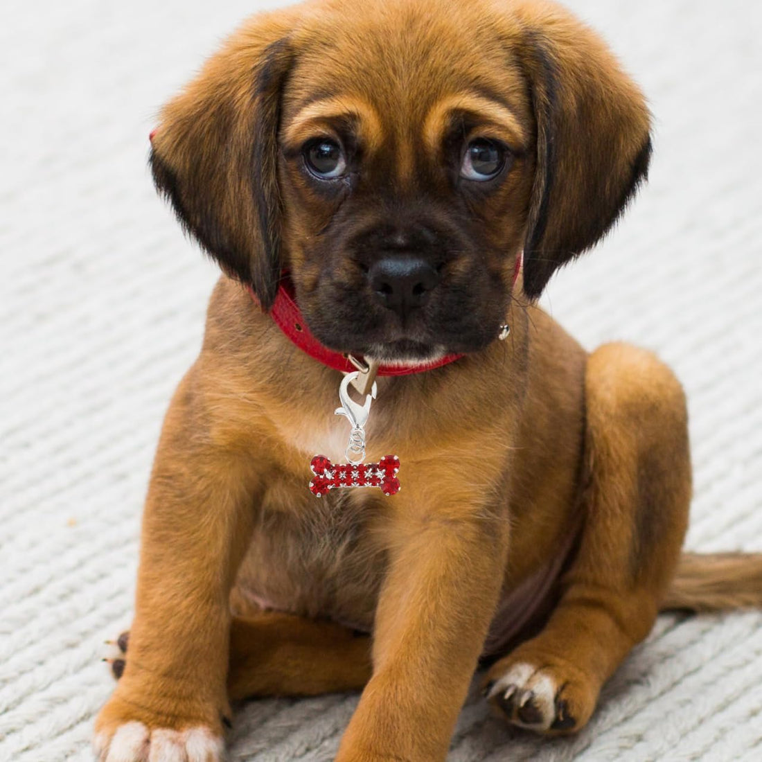 2Pcs Red Alloy Rhinestone Dog Bone Pet Collar Charm Pendant