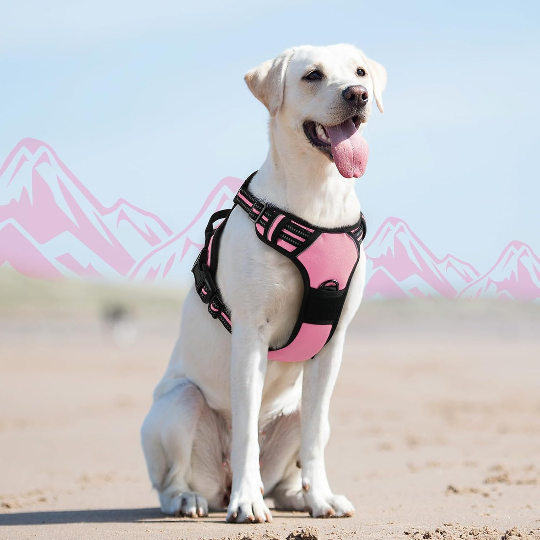 Eagloo Dog Harness for Large Dogs