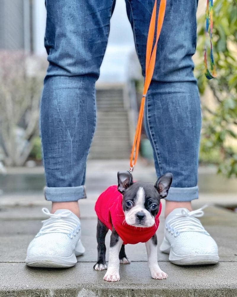 Gooby Stretch Fleece Vest Dog Sweater, Red, Large