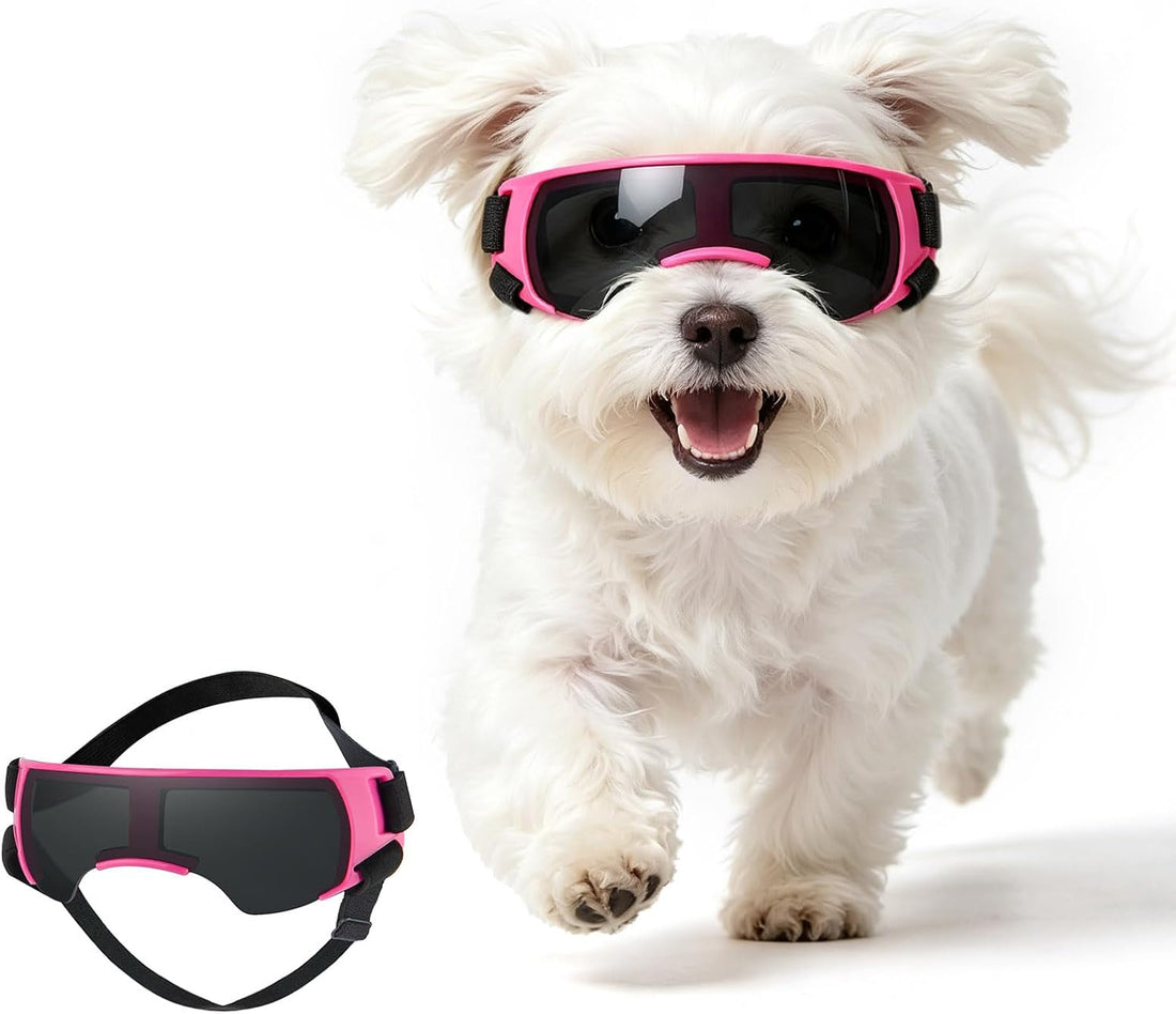 Dog Goggles for Small Breed Pet Sunglasses Eye Protection Anti-UV