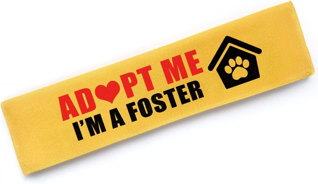 Give Me Space Leash Sleeve, Funny Do Not Pet Reactive Dog Patch